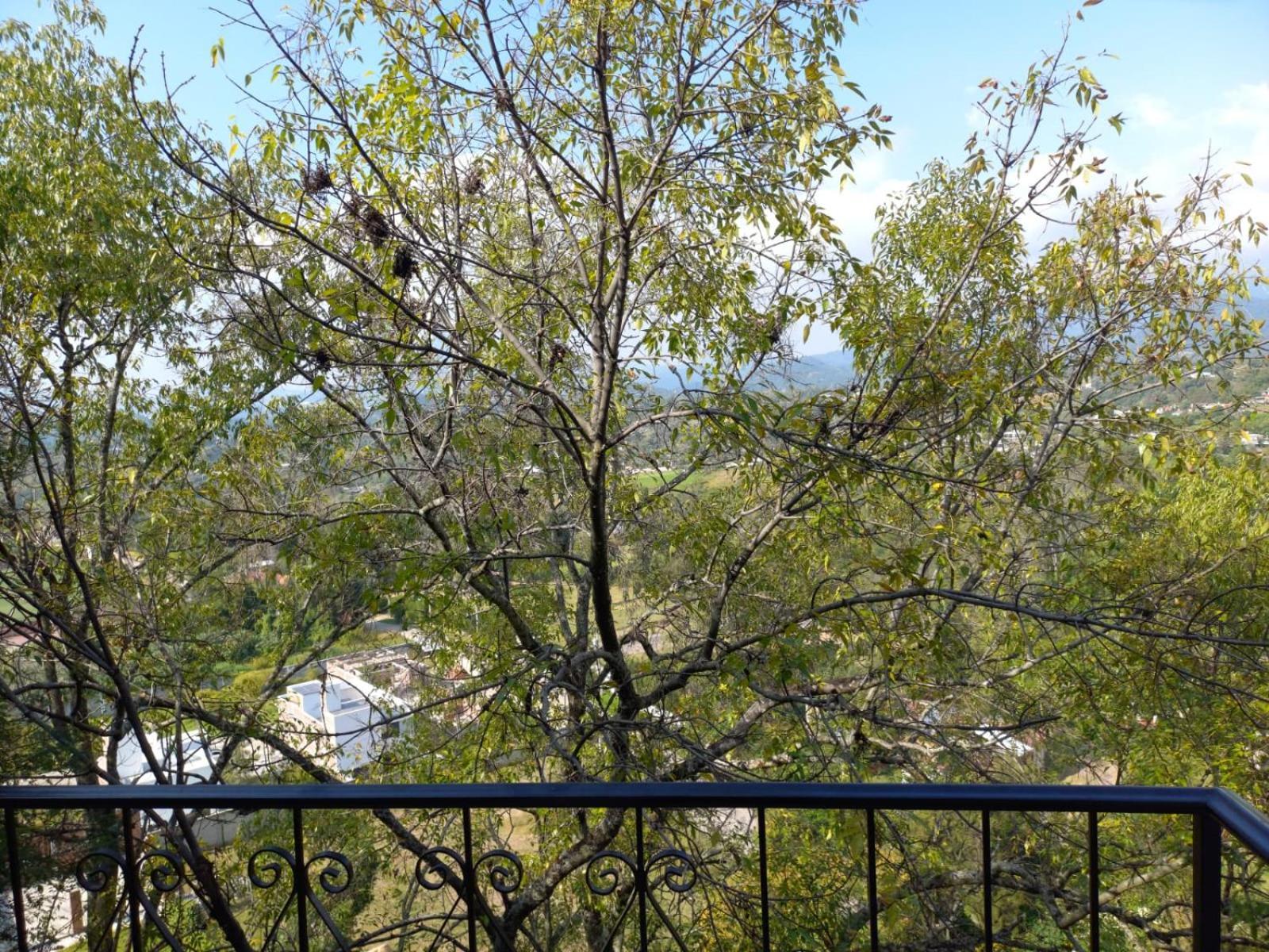 Solache Inn Zitacuaro Bagian luar foto